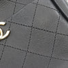 Chanel Stitched Goatskin Casual Trip North South Camera Case Secondhand