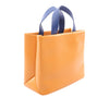 Louis Vuitton Mini Calfskin Shopper Tote Secondhand
