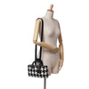 Dior Medium Canvas Macro Houndstooth Lady D Joy Secondhand