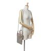 Goyard Goyardine Poitiers Claire Voie Secondhand