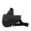 Dior Oblique Canvas Saddle Crossbody Secondhand