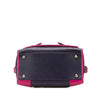 LOEWE Bicolor Grained Calfskin Cruz Satchel Secondhand