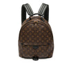 Louis Vuitton Monogram Palm Springs MM Secondhand