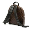 Louis Vuitton Monogram Palm Springs MM Secondhand