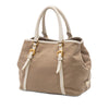 Prada Canvas Canapa Logo Bow Satchel Secondhand
