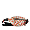 Burberry TB Monogram Nylon Cannon Belt Bag Secondhand