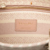Dior Medium Embroidered Canvas Houndstooth Lady D Lite Secondhand