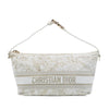 Dior Medium Technical Fabric Toile de Jouy DiorTravel Nomad Pouch Secondhand