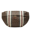 Burberry Extra Large TB Monogram E-Canvas Stripe Belt Bag Secondhand