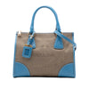 Prada Saffiano Trimmed Canvas Canapa Logo Double Zip Satchel Secondhand