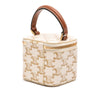 Celine Mini Triomphe Coated Canvas Vanity Case Secondhand