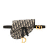 Dior Oblique Canvas Saddle Belt Bag Secondhand