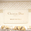 Dior Medium Embroidered Canvas Around The World Stella Lady D Lite Secondhand