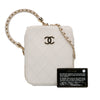 Chanel CC Lambskin Round Handle Camera Case Secondhand