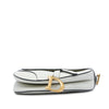Dior Grained Calfskin Saddle Bag Secondhand