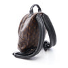 Louis Vuitton Monogram Palm Springs PM Secondhand
