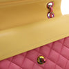 Chanel Small Classic Lambskin Rainbow Hardware Double Flap Secondhand