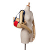 LOEWE Small Raffia Basket Tote Secondhand