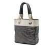 Chanel Small Bicolor Quilted Coated Canvas Paris Biarritz Tote Secondhand