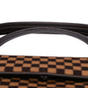 Louis Vuitton Damier Sauvage Lionne Secondhand
