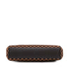 Louis Vuitton Damier Sauvage Lionne Secondhand
