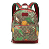 Gucci Small GG Supreme Web Tian Backpack Secondhand