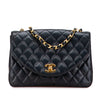 Chanel Quilted Lambskin Half Moon Single Flap Secondhand