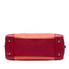 LOEWE Tricolor Leather Amazona 36 Secondhand