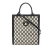 Celine Small Triomphe Canvas Vertical Cabas Tote Secondhand