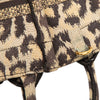 Dior Mizza Mini Embroidered Canvas Leopard Vertical Book Tote Secondhand