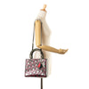 Secondhand Dior Anselm Reyle Medium Metallic Lambskin Cannage Lady Dior