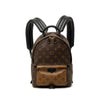 Louis Vuitton Monogram Reverse Palm Springs PM Secondhand