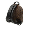 Louis Vuitton Monogram Reverse Palm Springs PM Secondhand