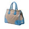 Prada Saffiano Trimmed Canvas Canapa Logo Double Zip Satchel Secondhand