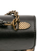 Bottega Veneta Calfskin and Leopard Print Pony Hair City Knot Shoulder Bag Secondhand
