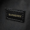 Burberry Icon Stripe Coated Canvas Louise Crossbody Secondhand