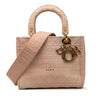 Dior Medium Embroidered Canvas Cannage Lady D Lite Secondhand