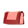 Celine Leather Frame Shoulder Bag Secondhand