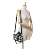Dior Medium Canvas Macro Houndstooth Lady D Joy Secondhand