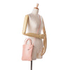 Goyard Goyardine Poitiers Claire Voie Secondhand