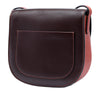 Celine Small Bicolor Glazed Calfskin Trotteur Crossbody Secondhand