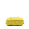 Miu Miu Raffia Crochet Arcadie Top Handle Bag Secondhand