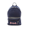 Dior Kaws Nylon Rider Backpack Secondhand