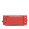 LOEWE Leather Amazona 36 Secondhand