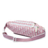 Dior Diorissimo Trotter Nylon No 2 Belt Bag Secondhand