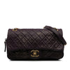 Chanel Small Quilted Iridescent Calfskin Shiva Flap Secondhand