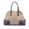 Prada Cinghiale Trimmed Canapa Dome Handbag Secondhand