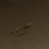 Celine Pico Grained Calfskin Belt Bag Secondhand