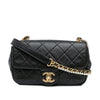 Secondhand Chanel Mini Quilted Calfskin Crystal Pearls Chain Flap