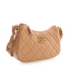 Chanel Small Quilted Aged Calfskin Chanel 19 Hobo Secondhand